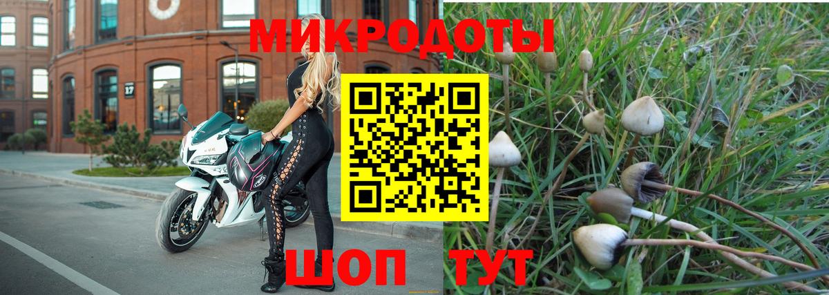Протвино  Псилоцибиновые грибы MAGIC MUSHROOMS  Вход с VPN 
