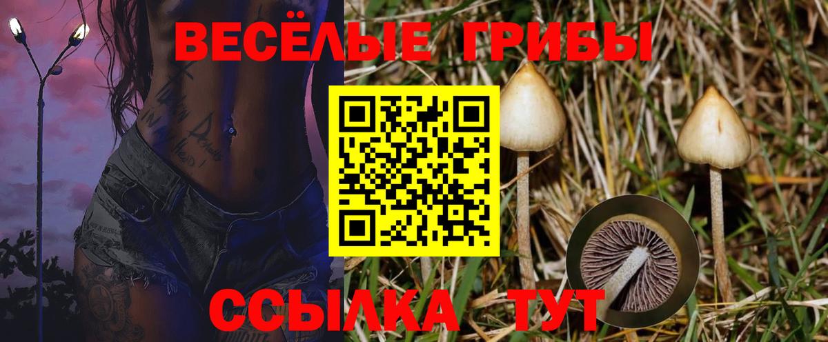 Галлюциногенные грибы MAGIC MUSHROOMS Протвино