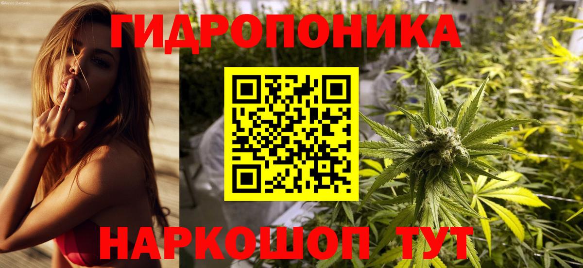 Шишки марихуана THC 21%  Вход с VPN  Бошки марихуана планчик  Протвино  Конопля VHQ 